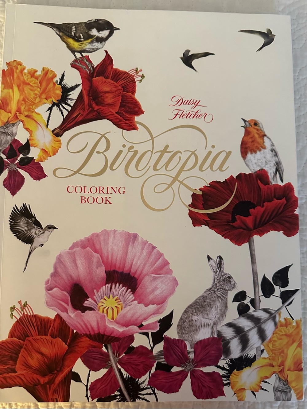 Coloring Book - Birdtopia by illustrator Daisy Fletcher - natural world